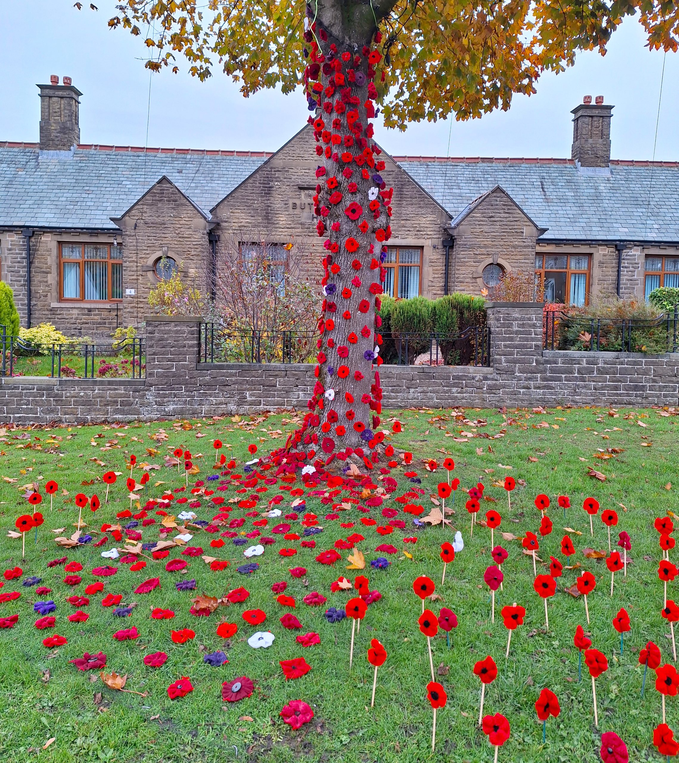 picture with poppies 2025